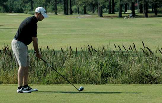 The Pines Golf Course at Fort Eustis Virginia Pines/Ponderosa Pines The Pines Golf Course at Fort Eustis Virginia Pines/Ponderosa Pines